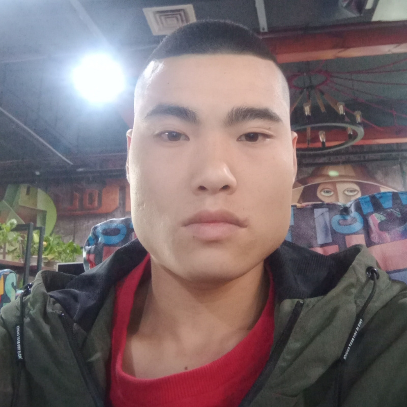 张3131