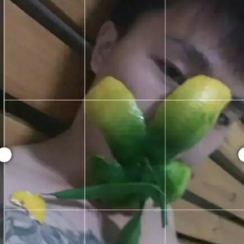 中華扬子鳄