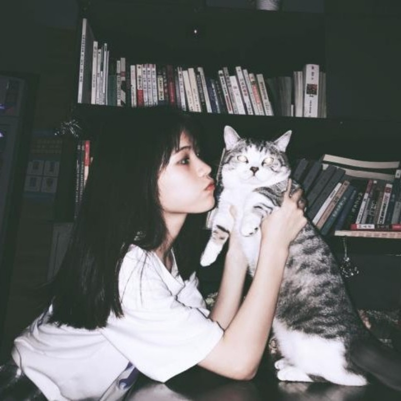 不再爱(无心)