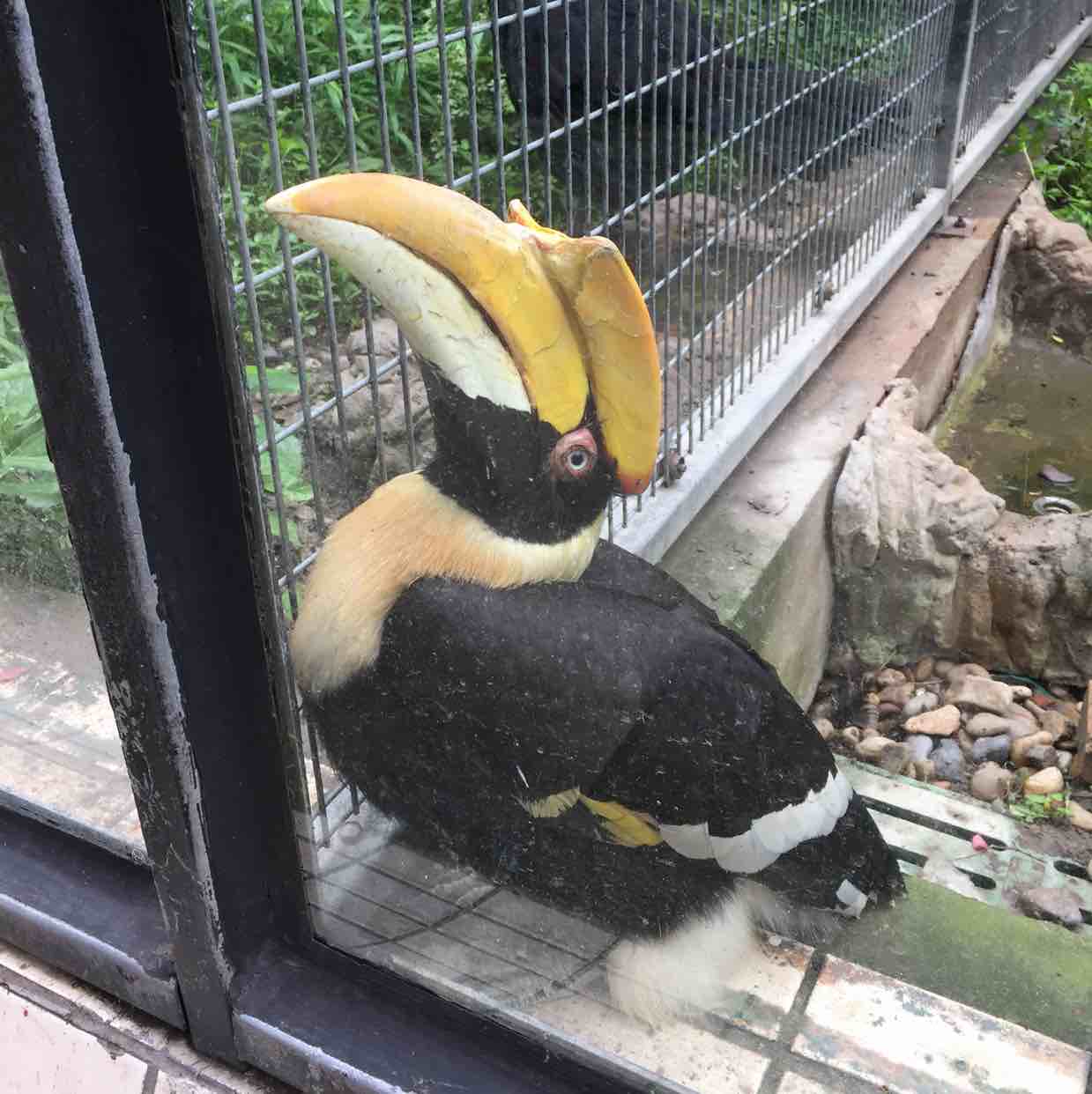 勤奋工作，