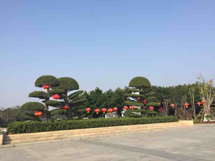 长至2019