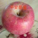 龙姐