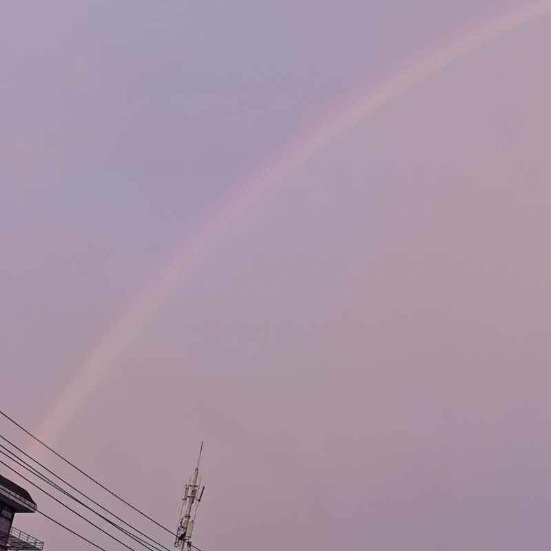 灰太丸
