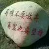 cheng哥