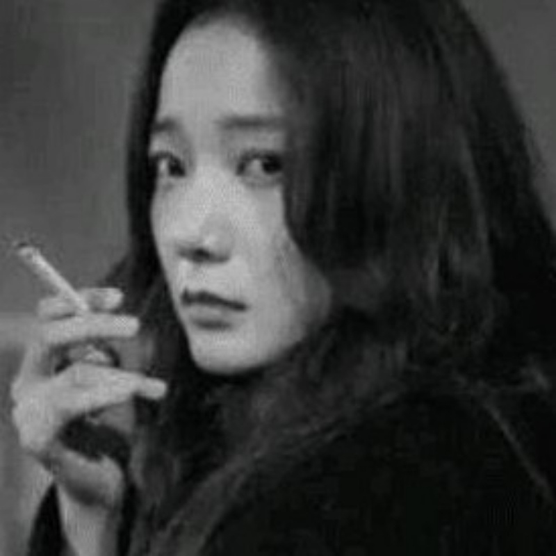 里下河的猫