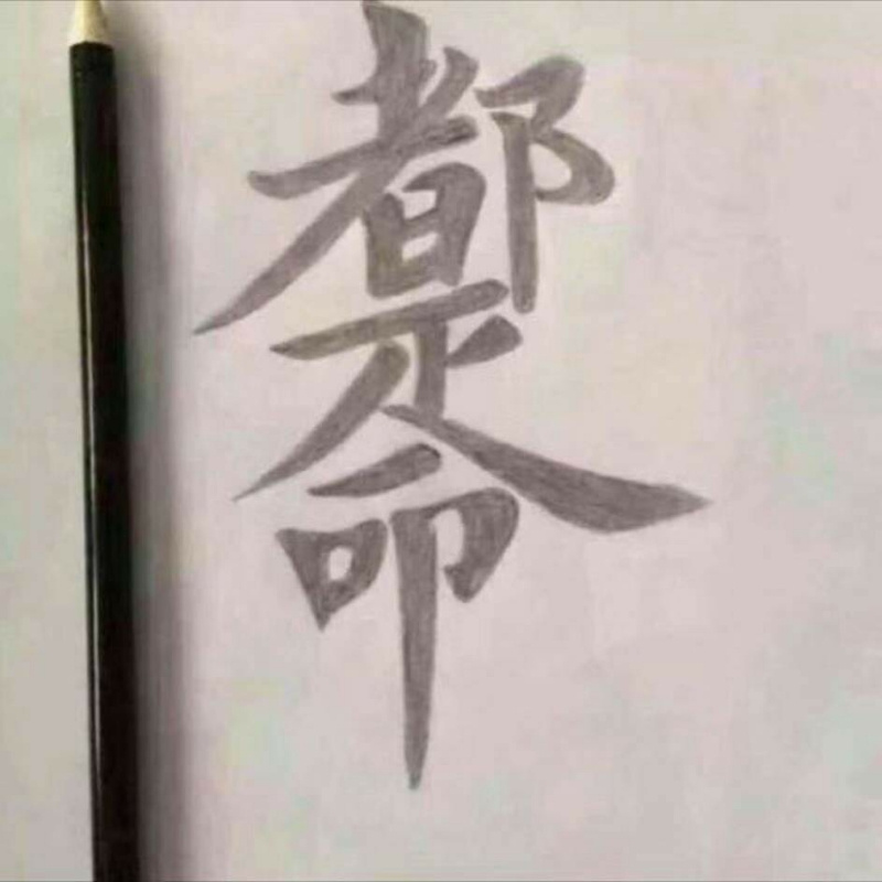 大龙