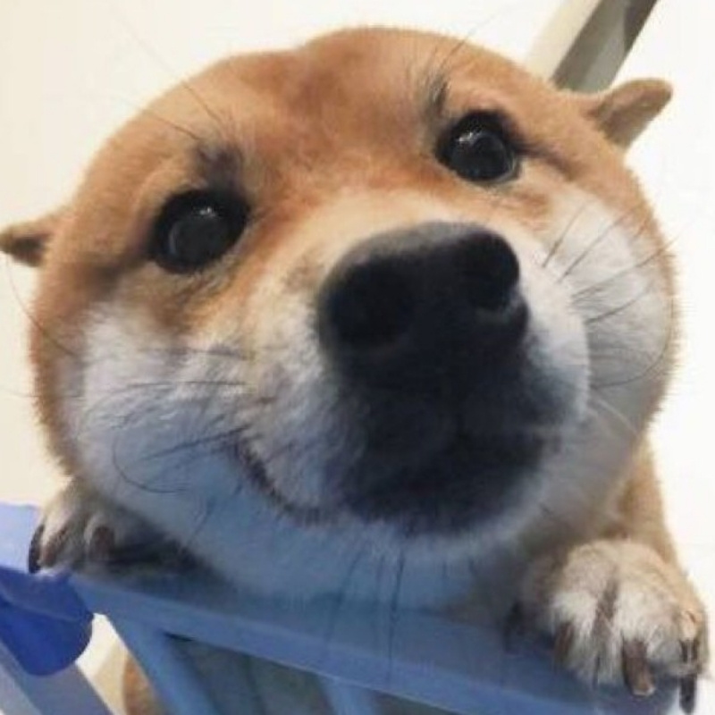寻觅你的故事