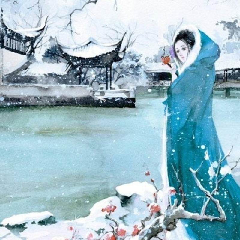 枫叶6618960