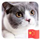 不靠谱(*￣m￣)先森