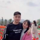 十多个广告