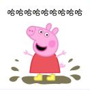 芒果果粒
