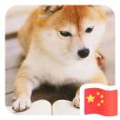 资深财主