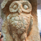 Ms.Owl