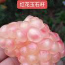 岩