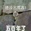 瞪谁谁怀孕。