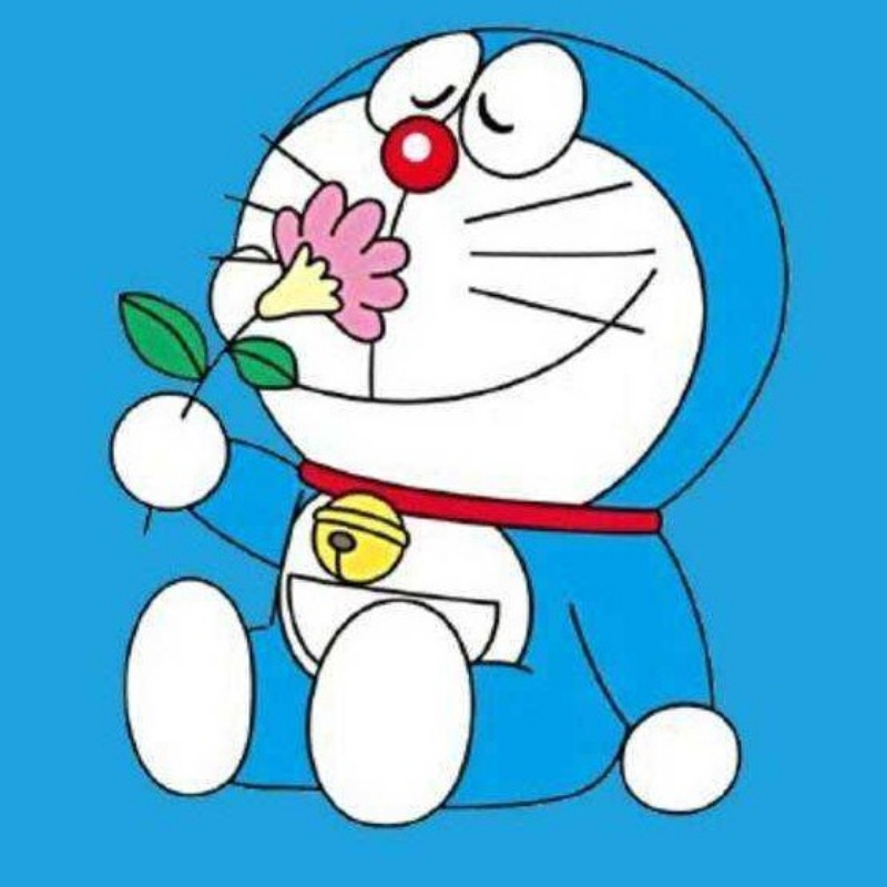 * 顾里