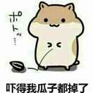 杜芸芸