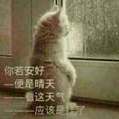人生几度秋凉