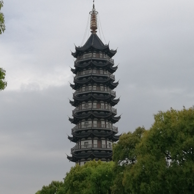 鱼儿007
