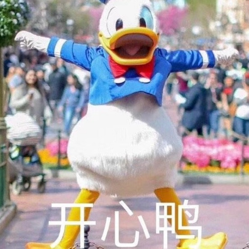 开心鸭小鸭子