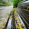 雨中漫步