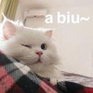 渣渣辉丶丶丶