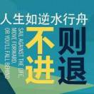顺其自然