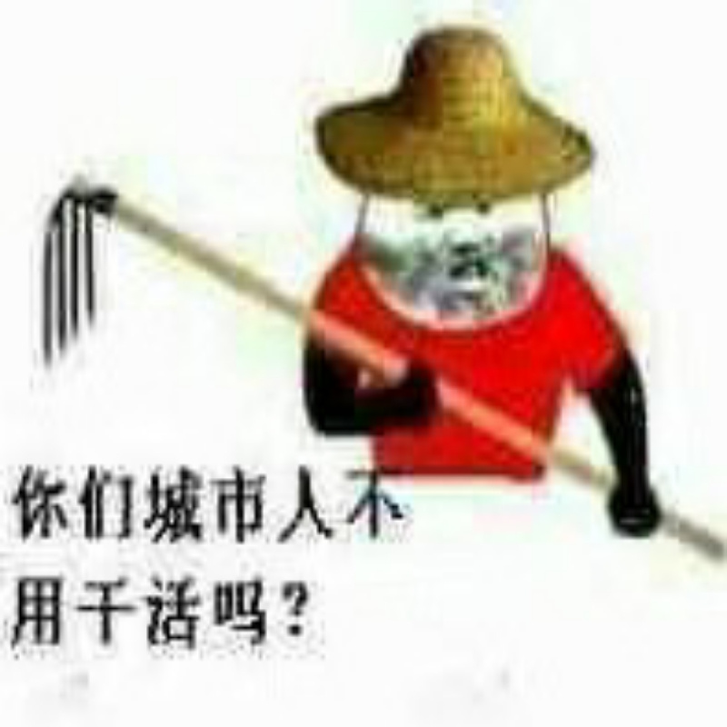 小板板涨停