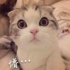壹种感觉