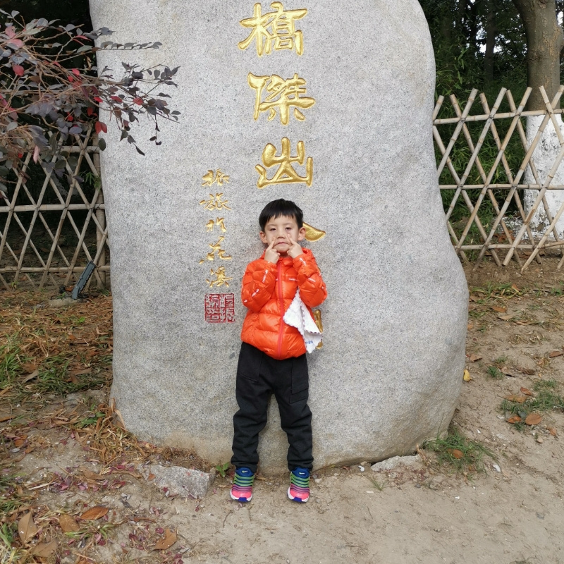 强子