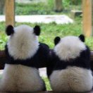 远上寒山石径斜1