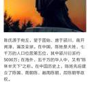 顺其自然