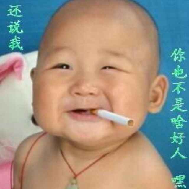 MX，至柔