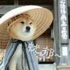 好纠结你看见好看不