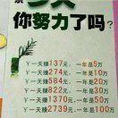 面筋小哥