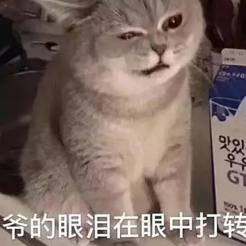 说出来你可能不信