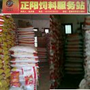 WF小孩