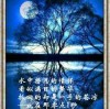 水中月