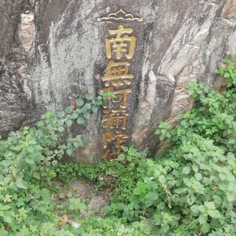 150xxxx5331