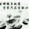 杨钣金