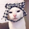 砸锅卖铁来上网为了打LOL