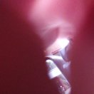 君无戏言八一