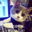 粤爸爸