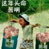 舍得