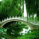 行云流水