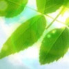 wuzujun365