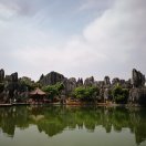 刘磊