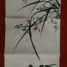 lucky善卉