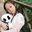 慧
