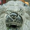 善解人意